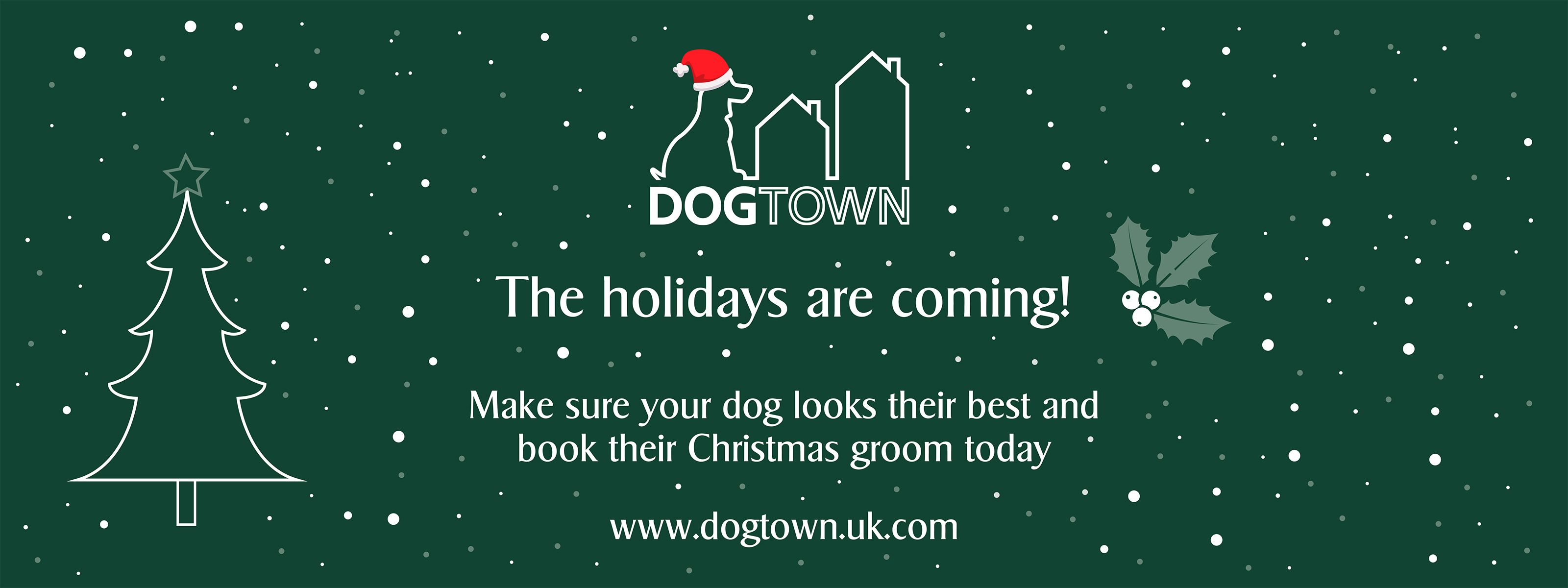 Book Your Christmas Groom Today